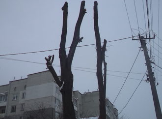 Триває обрізка аварійних дерев і кущів
