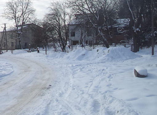 Убивство на замовлення: смерть Сміта (історія з продовженням-1)