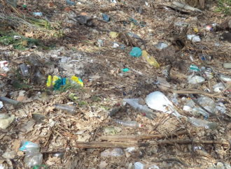 Берегти ліс від пожеж і сміття