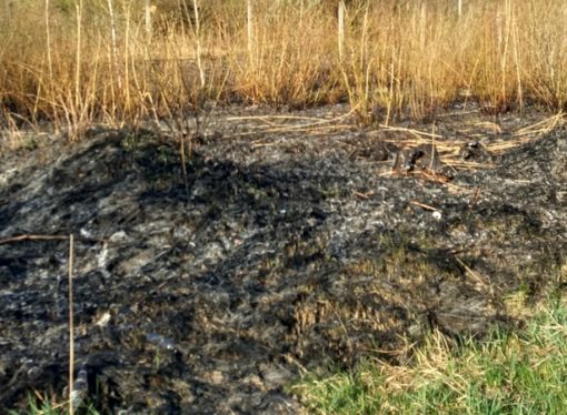 Через суху траву винниківські рятувальники не мають спокою