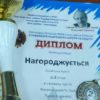 Винниківські дівчата отримали два  других місця  на Міжнародному шаховому фестивалі
