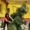Винниківчани, пошкодуйте слоників біля дитячої бібліотеки!
