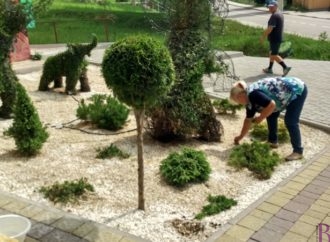 Вандалізм біля дитячої бібліотеки