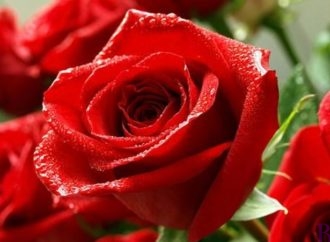 ЦНАП вітає міського голову Винник Володимира Квурта з днем народження