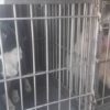 У Винниках відловлювали собак-безхатьків