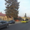 Поміж Львовом і Винниками курсуватимуть ще 12 нових великогабаритних автобусів