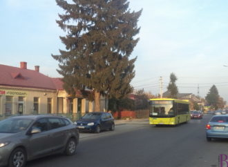 Поміж Львовом і Винниками курсуватимуть ще 12 нових великогабаритних автобусів
