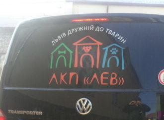 У Винниках відловлювали бродячих собак