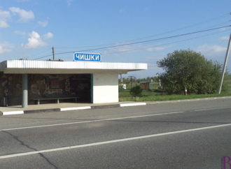 Під час ДТП у селі Чишки травмовано 20-річну іноземку