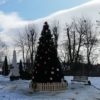 Триває конкурс «Найкраща ялинка Львівщини 2020»