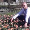 Винниківчанин Ярослав Онищак виростив тюльпани до Дня святого Валентина