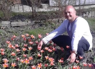 Винниківчанин Ярослав Онищак виростив тюльпани до Дня святого Валентина