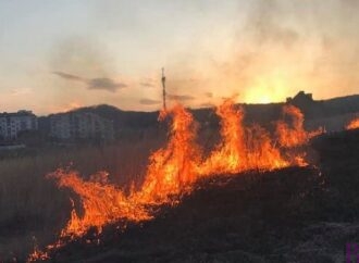 У Винниках горіла суха трава: 61-а ДПРЧ врятувала від вогню три будівлі (фото)