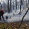У Винниках горів ліс