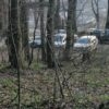 Із 4 квітня прогулянки в лісі під тимчасовою забороною
