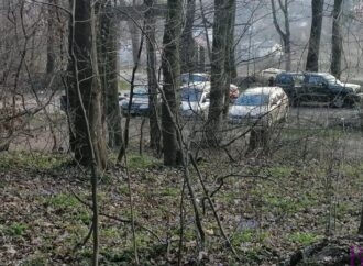 Із 4 квітня прогулянки в лісі під тимчасовою забороною