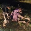 Винниківські надзвичайники врятували корову, яка впала в глибокий рів на вул. Дмитерка (фото)