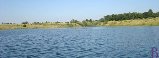 Подорож на водойми Львівщини: Яворівський кар’єр, Івано-Франкове, Солуки, Чолгинський заказник (відео)