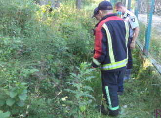 На узліссі у Винниках виявлено частково скелетоване тіло чоловіка