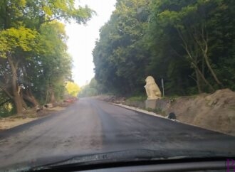 Дорогу від Винник до “Ензиму” заасфальтували. Тепер ремонтують до вул. Букова