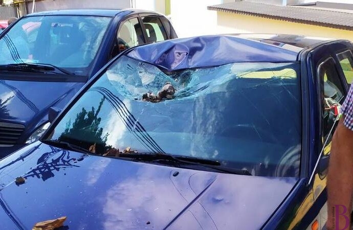 У Винниках дерево впало на автомобіль