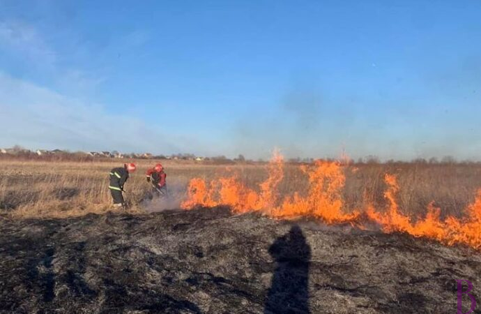 Паліїв трави прирівнюватимуть до диверсантів