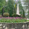 Заміну суглобів безкоштовно проводитимуть лише у Винниках!