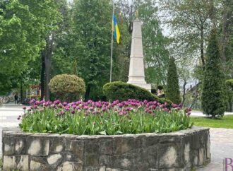 Заміну суглобів безкоштовно проводитимуть лише у Винниках!