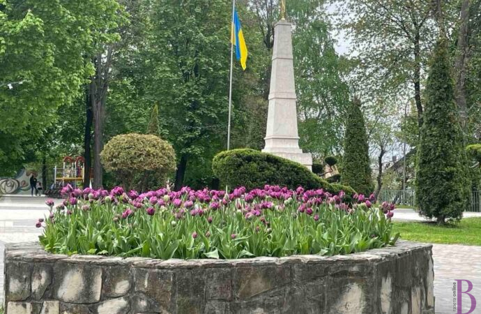 Заміну суглобів безкоштовно проводитимуть лише у Винниках!