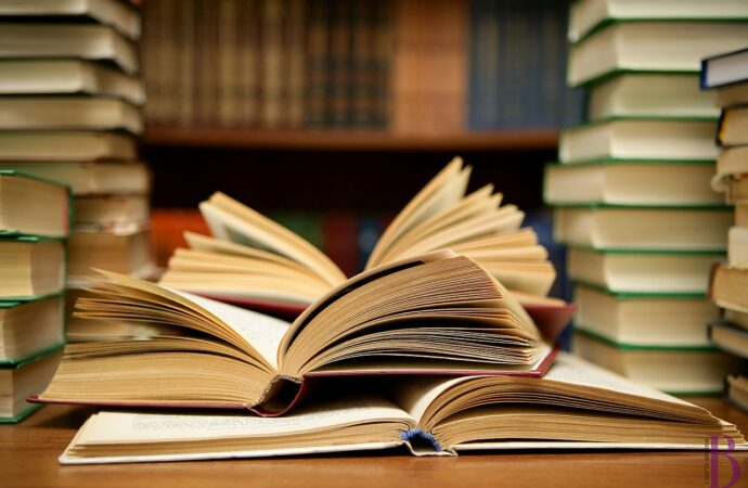14 лютого приходьте у бібліотеки Винник і даруйте книги