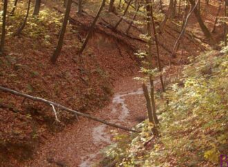 У Винниківському лісі знайшли мертвим 16-річного хлопця